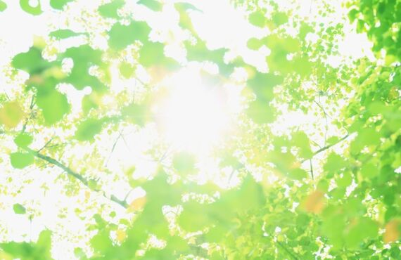 仕事でお悩みの方へ福岡より仕事運をアップするパワーストーンをお届けします
